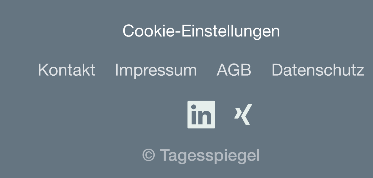 Social Media Channels im Footer