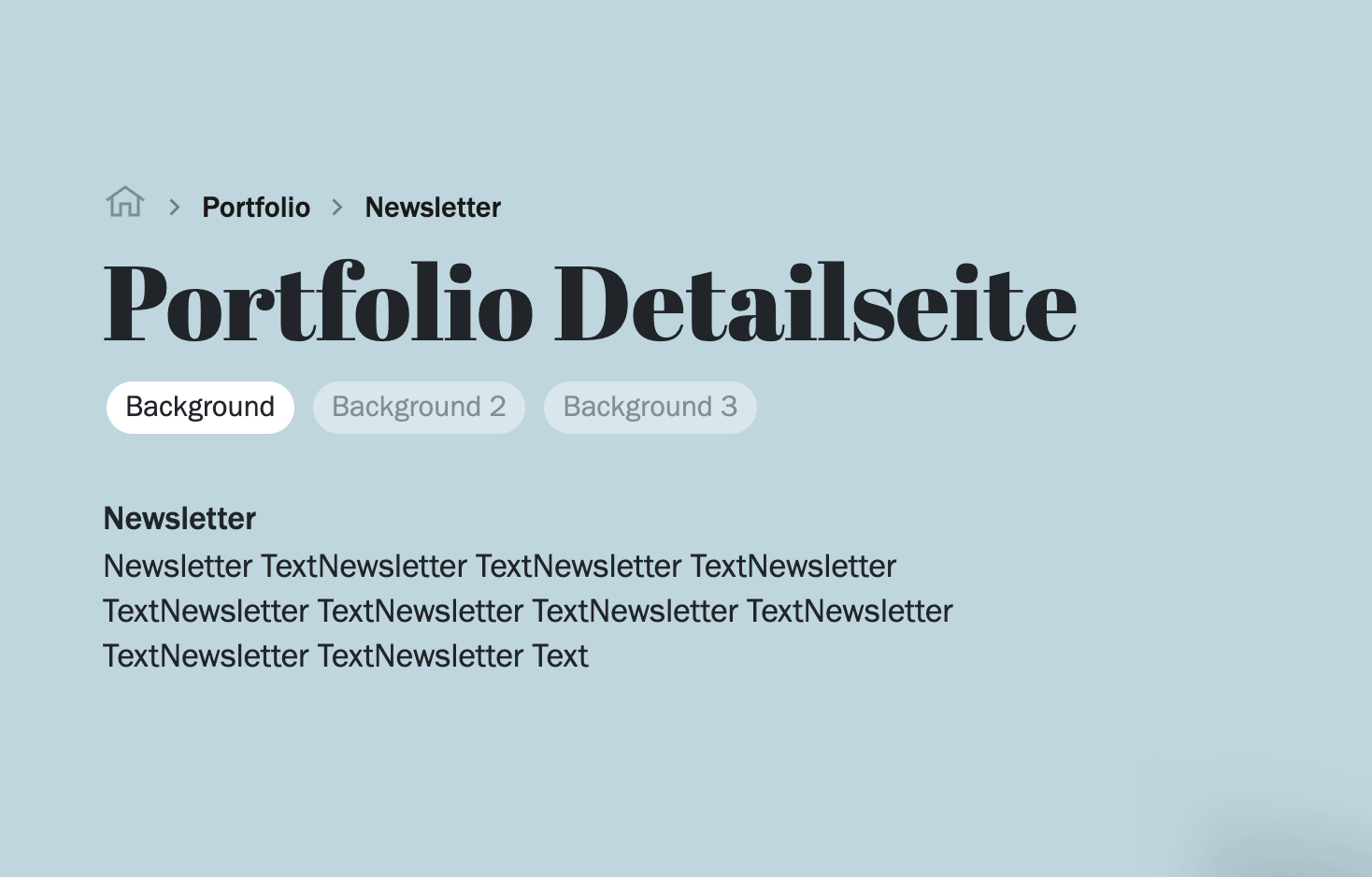 Portfolio Detailseite